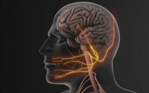 Pressure Signals the Body to Ease Up